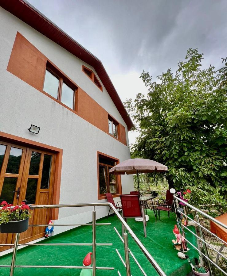 Casa Camelia Βίλα Nehoiu Εξωτερικό φωτογραφία
