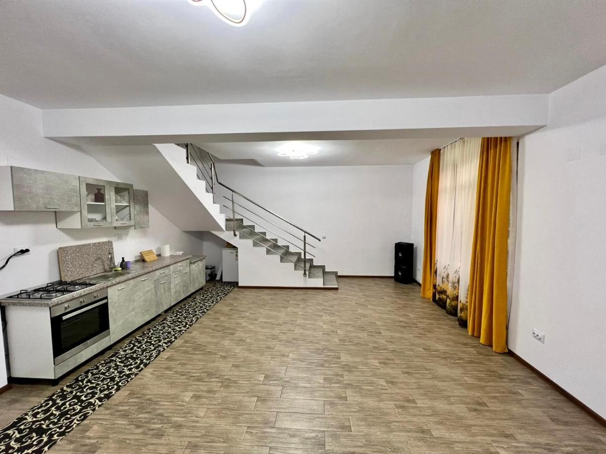 Casa Camelia Βίλα Nehoiu Εξωτερικό φωτογραφία
