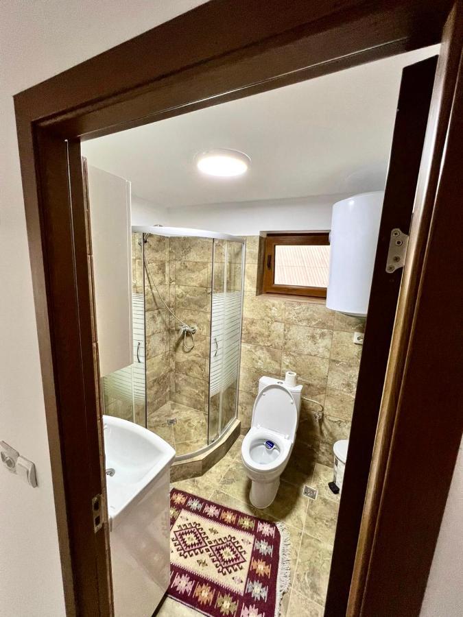 Casa Camelia Βίλα Nehoiu Εξωτερικό φωτογραφία