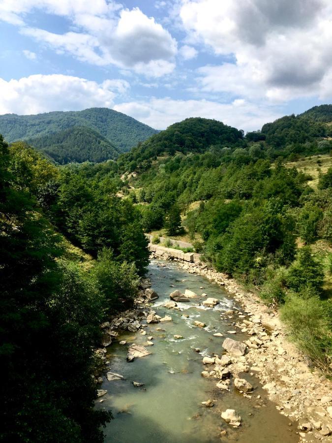 Casa Camelia Βίλα Nehoiu Εξωτερικό φωτογραφία