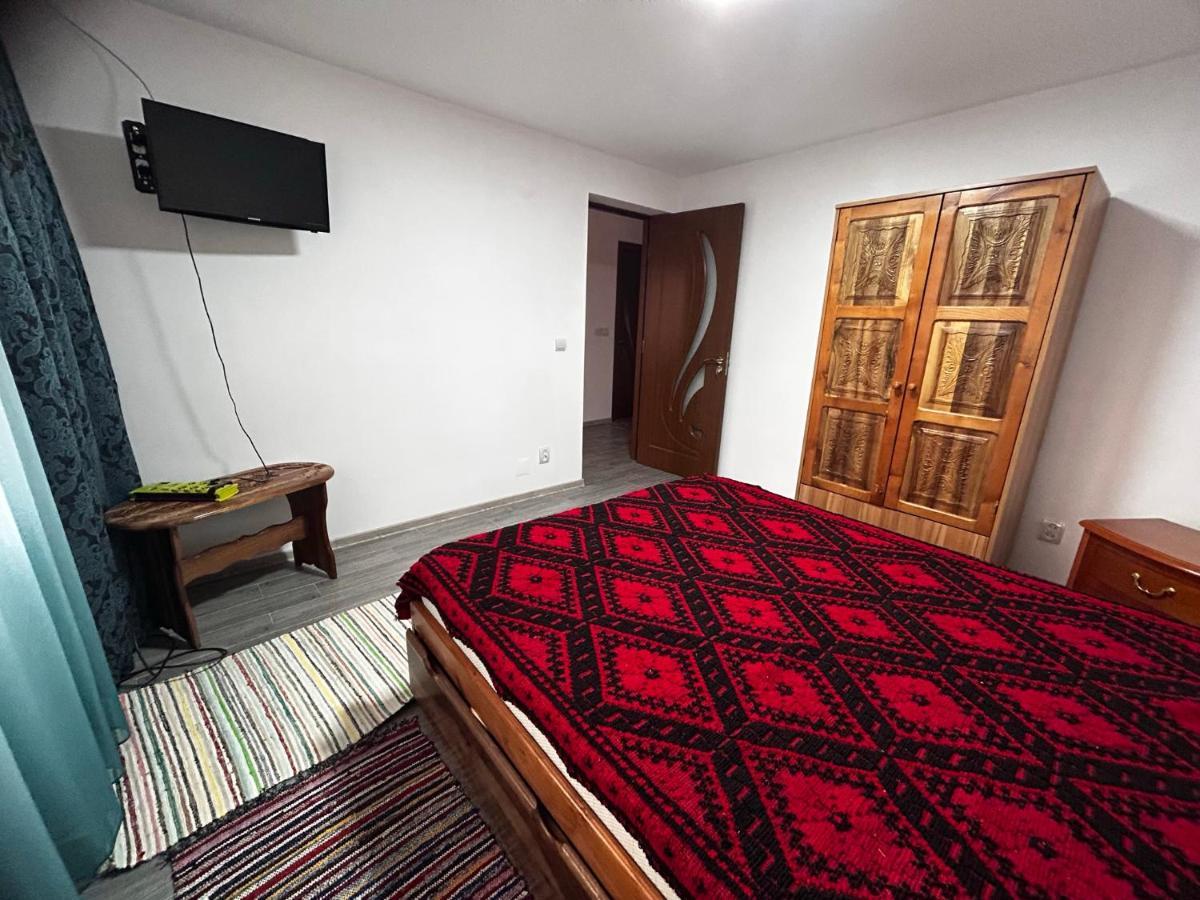 Casa Camelia Βίλα Nehoiu Εξωτερικό φωτογραφία