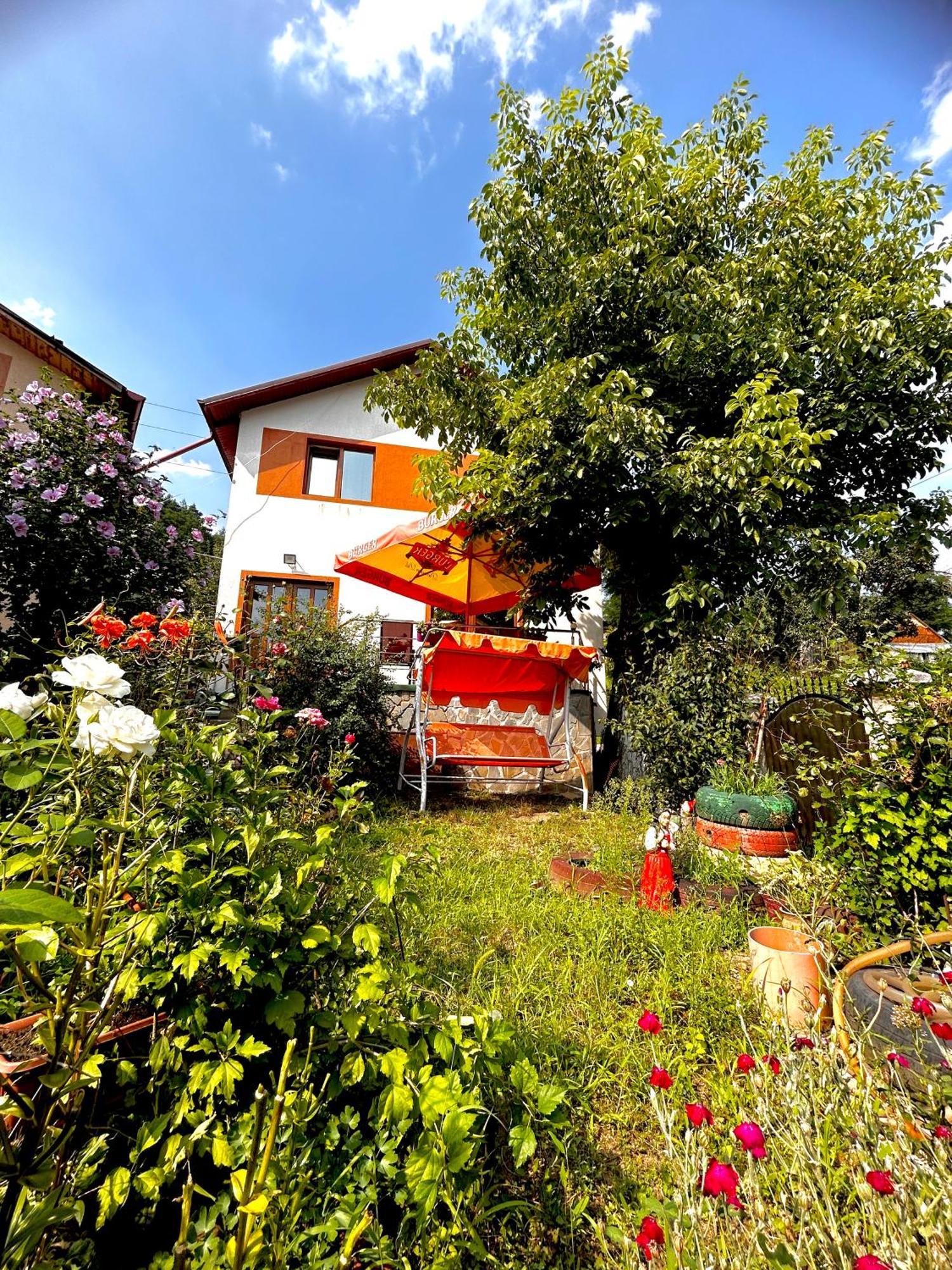 Casa Camelia Βίλα Nehoiu Εξωτερικό φωτογραφία