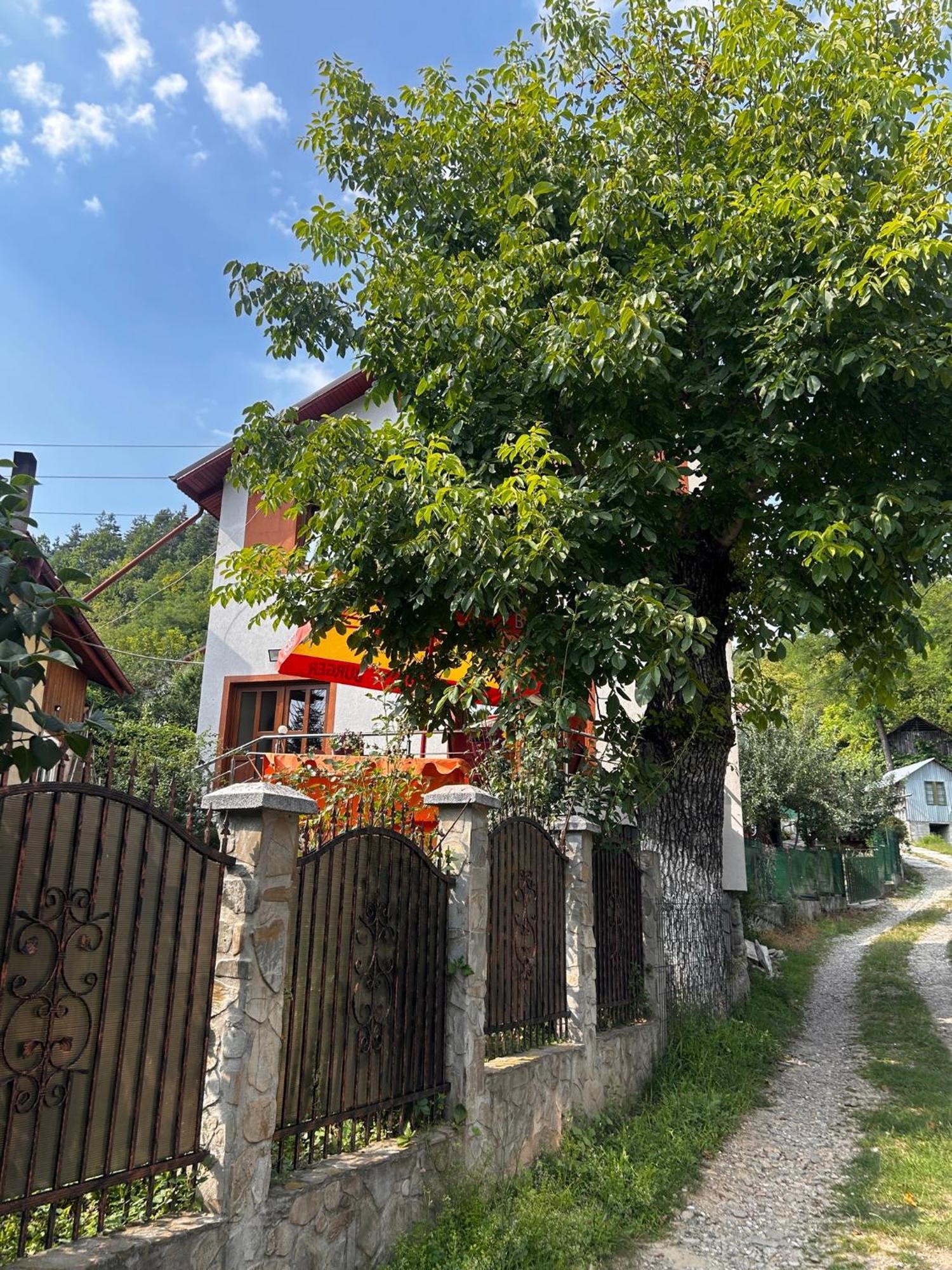 Casa Camelia Βίλα Nehoiu Εξωτερικό φωτογραφία